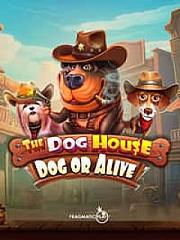 The Dog House – Dog or Alive