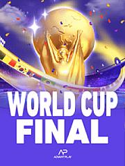 World Cup Final