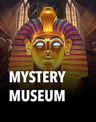 Mystery Museum