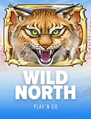 Wild North