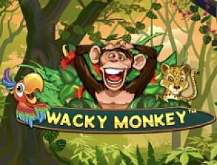 Wacky Monkey