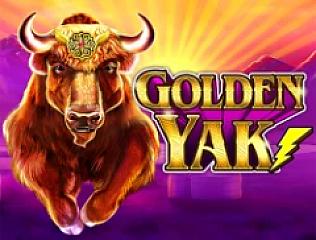 Golden Yak