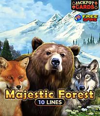 Majestic Forest