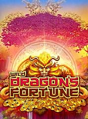 Wild Dragon's Fortune