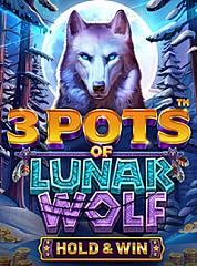 3 Pots of Lunar Wolf