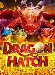 Dragon Hatch