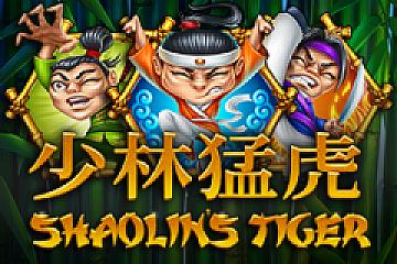 Shaolin's Tiger