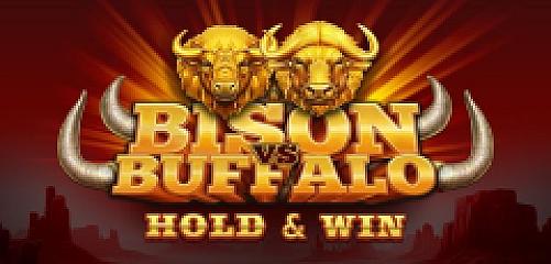 Bison vs Buffalo