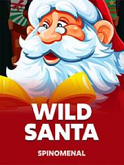 Wild Santa
