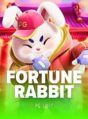 Fortune Rabbit
