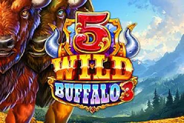 5 Wild Buffalo 3