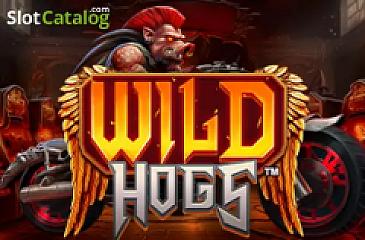 Wild Hogs slot game